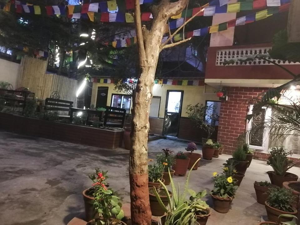 Nirvana Green Peace Home Kathmandu Exterior foto